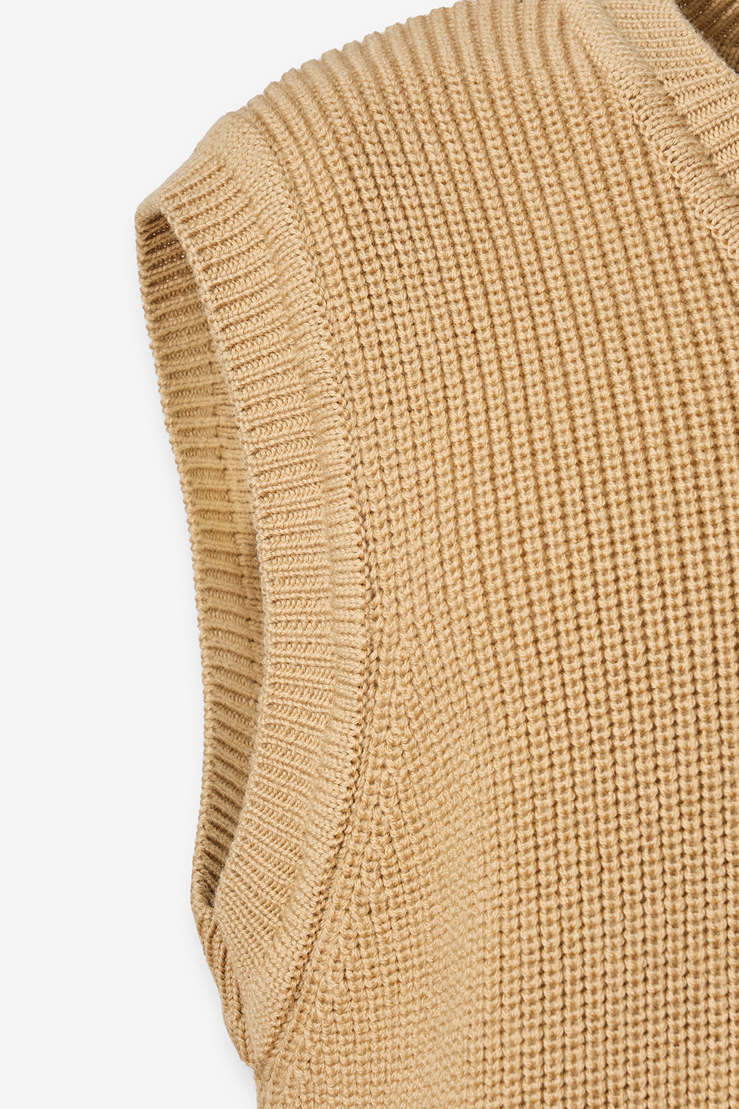 020M_camel_04